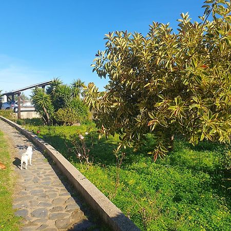 Villa Asinara Sassari Exterior foto